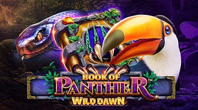 Book of Panther - Wild Dawn